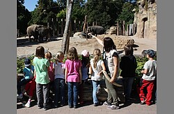 Schulklasse vor einem Elefantengehege. 