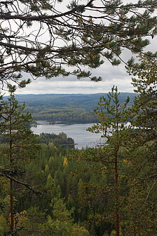 Landschaft Finnland