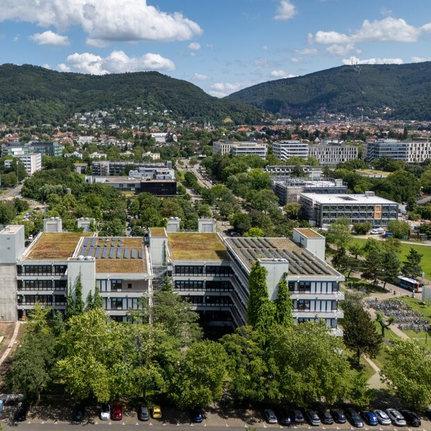Der Neubau aus Sicht einer Drohne