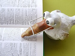 Vogel Figur die mit ihrem Schnabel auf Zeilen eines aufgeklappten Buches zeigt.