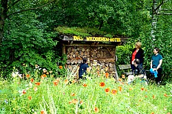 Das Bild zeigt ein Wiese. Im Hintergrund ist ein großes Insektenhotel zu sehen, das sich Menschen ansehen.