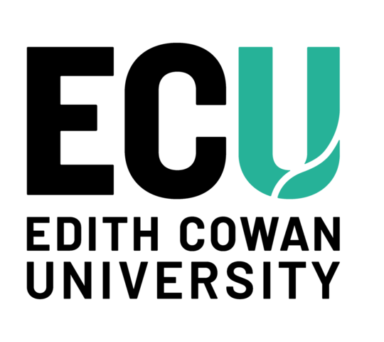 Logo der Partnernuniversität