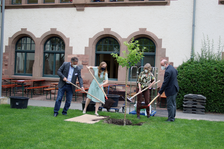 Prof. Dr. Alexander Siegmund, Teresa Ruckelshauß, Stephanie Wiese-Heß und Prof. Dr. Hans-Werner Huneke, wie sie symbolisch einen Apfelbaum im Innenhof des Altbaus der Pädagogischen Hochschule pflanzen.