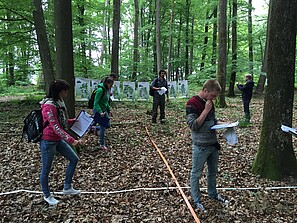 Geländepraktikum: Thema Wald