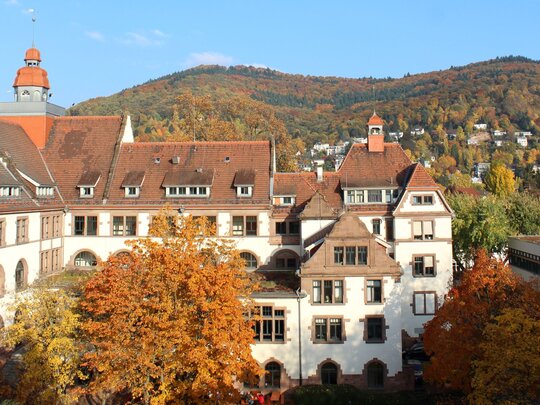 zu sehen ist der Altbau im Herbst