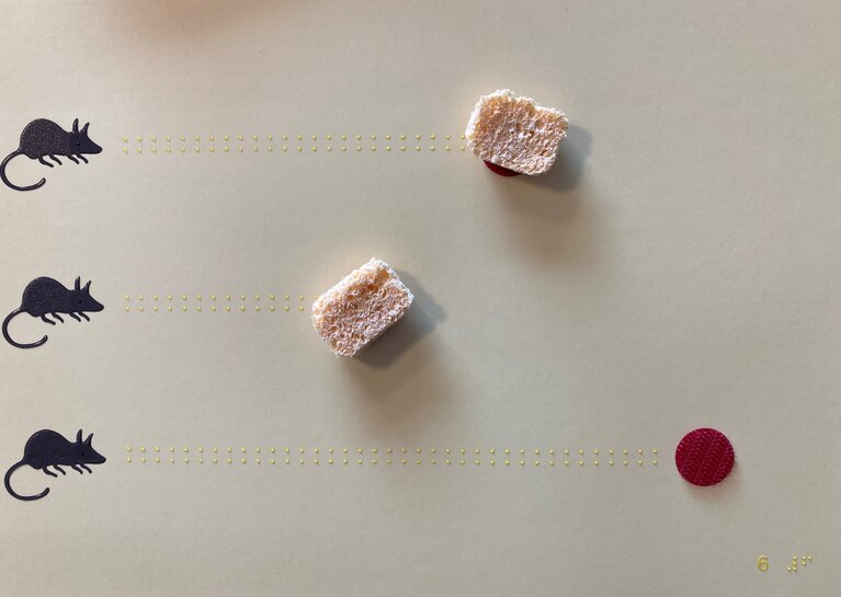 Beispielseite - Band 5