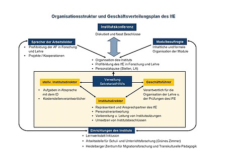 Organigramm IfE