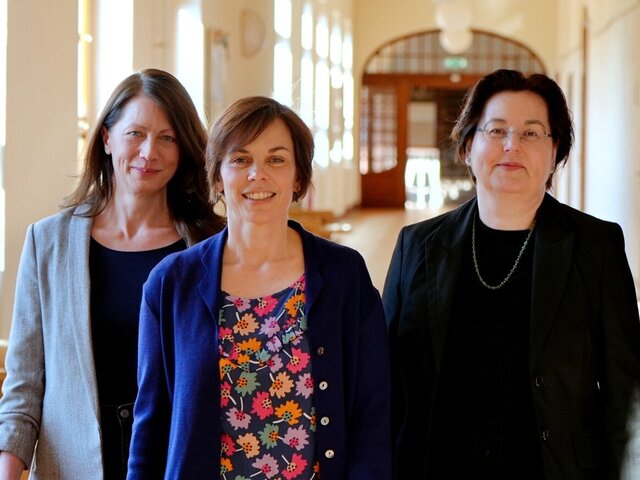 Team Professional School PHHD