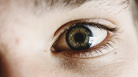 Auf dem Bild ist das Foto eines Auges abgebildet, es hat die Farbe grün