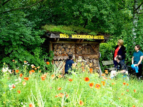 Das Bild zeigt ein Wiese. Im Hintergrund ist ein großes Insektenhotel zu sehen, das sich Menschen ansehen.