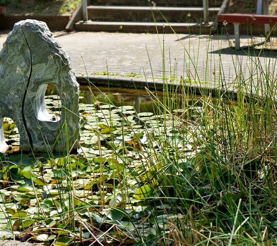 Ein Stein im Teich.