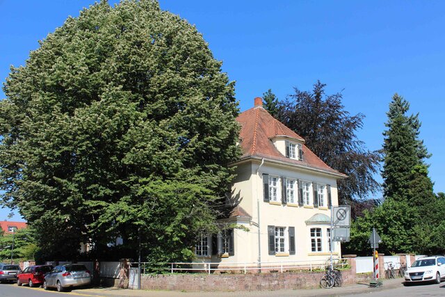 Auf dem Bild ist eine Jugendstilvilla abgebildet ...