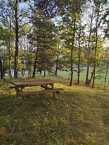 Bank auf einer Waldlichtung in Norwegen.