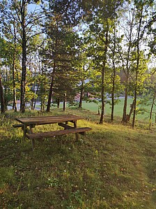 Bank auf einer Waldlichtung in Norwegen.