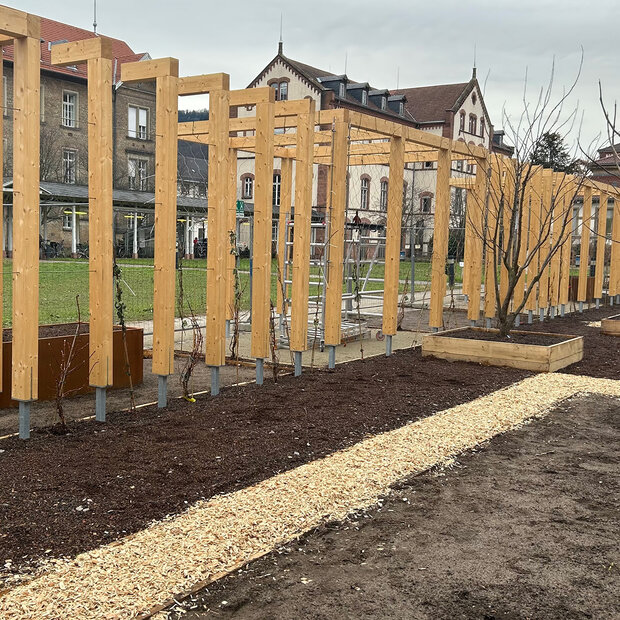 Blick auf den Klimawandelgarten in der Bauphase im Januar 2026. Das Bild zeigt Beete, Hochbeete und hölzerne Rankhilfen vor einer Grünfläche und Unigebäuden auf dem Campus Bergheim.