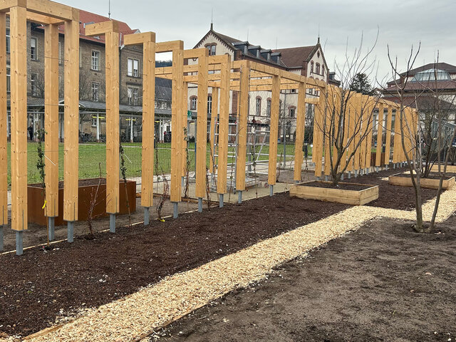 Blick auf den Klimawandelgarten in der Bauphase im Januar 2026. Das Bild zeigt Beete, Hochbeete und hölzerne Rankhilfen vor einer Grünfläche und Unigebäuden auf dem Campus Bergheim.