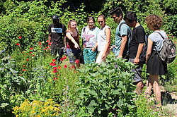 Ausflug mit der ersten Outdoor-Klasse der Internationalen Gesamtschule Heidelberg im Ökogarten.