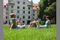Studierende sitzen im Gras und unterhalten sich. 