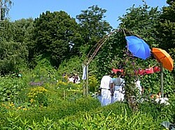 Das Bild zeigt mehrere Personen in weißen Gewändern, welche im Ökogarten sind. Copyright Pädagogische Hochschule Heidelberg