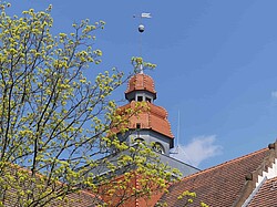 Das Bild zeigt einen Turm des Altbaus der Pädagogischen Hochschule Heidelberg.
