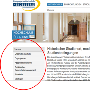 Screenshot von Beispielmenü der PH Website