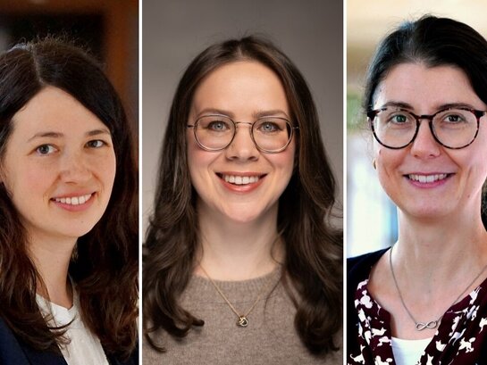 Dies ist eine Collage von drei Bildern mit Porträtfotos.