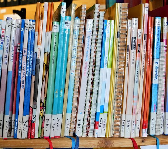 Zu sehen sind Bücher in einem Regal.