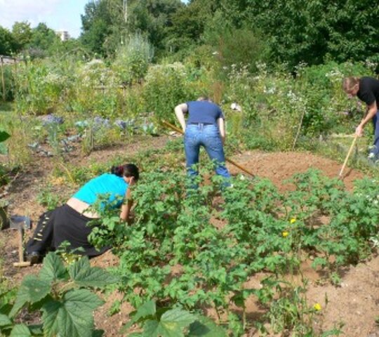 Arbeit im Garten