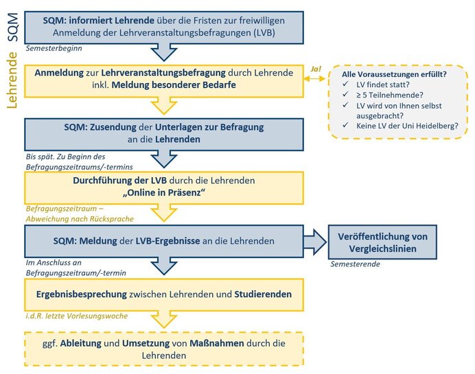 Ablaufschema Lehrveranstaltungsbefragung
