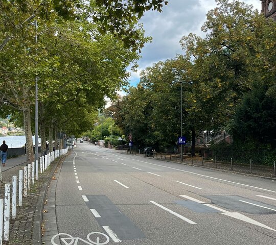 Ein Bild eines Fahrradwegs in Heidelberg: Auch Stadtradeln trägt zu gesundem Arbeiten bei. 