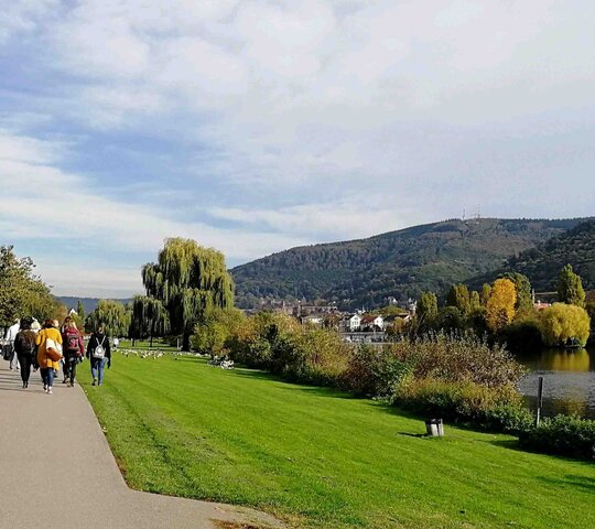 Gruppe von Personen die an der Neckarpromenade spazieren