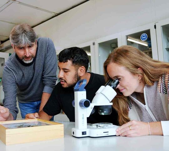Prof. Baur mit Studierenden im Labor