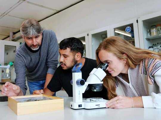 Prof. Baur mit Studierenden im Labor