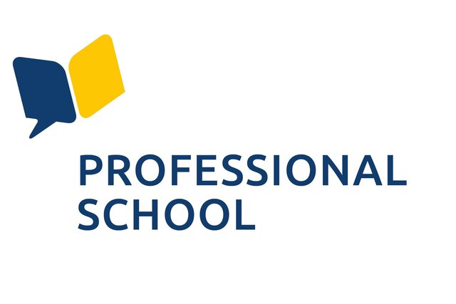 Logo der Professional School der PHHD mit Icon eines aiufgeschlagenen Buches und Schriftzug