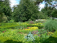 Bauerngarten