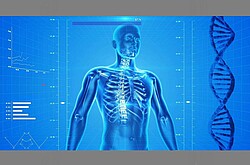 Das Symbolbild zeigt einen 3D-Menschen in einer Computersimulation. In dieser Simulation sind die Knochen erkennbar. Copyright pixabay