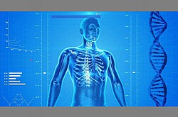 3D-Menschen in einer Computersimulation.