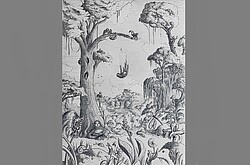 Die Bleistift-Zeichnung von zeigt einen Walsd mit vielen Tieren. Auf einem hohen Baum sitzen drei Faultiere und ein Faultier lässt sich gerade herunterfallen. An dem Baum gelehnt sitzt noch ein Faultier. Im Vordergrund ist sind Pflanzen und auf der rechten Seite ein Igel. Im Hintergrund ist ein See erkennbar. Coypright Johannes Immel