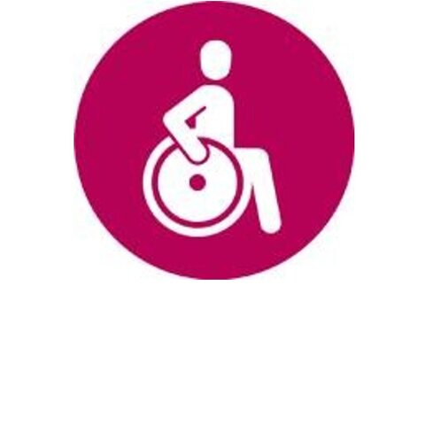 Piktogramm zur Barrierefreiheit in Bezug auf Rollstuhlgerechter Zugang  Der Veranstaltungsort ist rollstuhlgerecht und kann von Rollstuhlfahrenden selbstständig betreten werden.