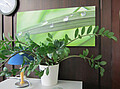 Büro des Sekretariats der Biologie Büro des Sekretariats der Biologie