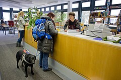 Auf dem Symbolbild ist eine Frau zu sehen, die in der Bibliothek der PH an der Theke steht, neben ihr steht ihr Blindenhund. Hinter der Theke steht eine Frau im mittleren Alter, die der blinden Frau etwas erklärt. Copyright: PH Heidelberg