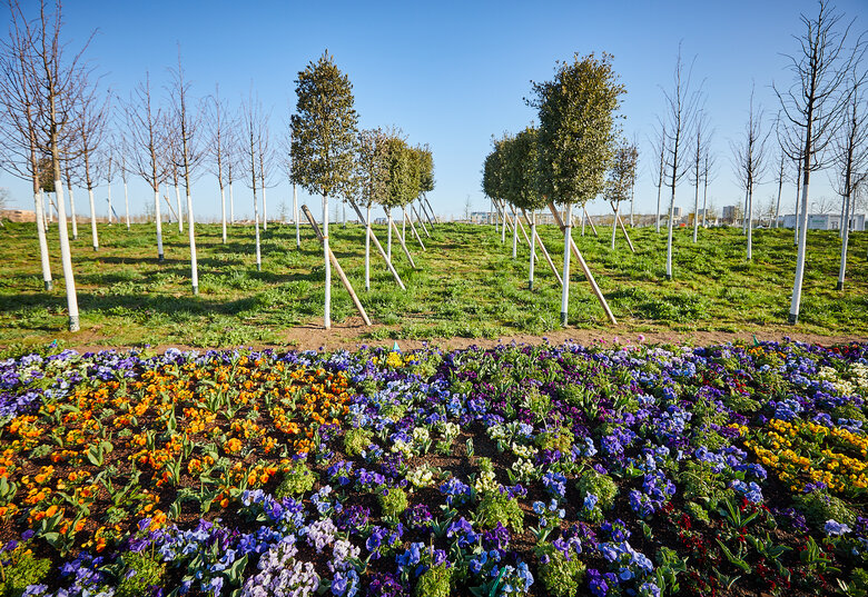 Bäume und Sträucher auf dem Spinelle-Feld in Mannheim