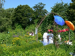 Das Bild zeigt den Ökogarten der PH im strahlenden grün, und auf der rechten Seite sind zwei Sonnenschirme in den Farben blau und orange zu sehen. Copyright Pädagogische Hochschule Heidelberg