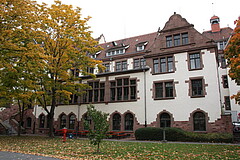 Das Bild zeigt den Altbau der Pädagogischen Hochschule Heidelberg. Vor diesem ist ein Baum zu sehen, der von der Sonne angestrahlt wird, sowie eine grüne Wiese.