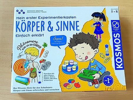 Box: Körper & Sinne