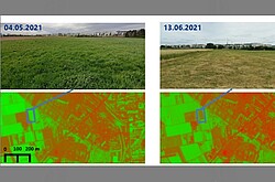 linken Seite ein Foto von einem Feld sowie das dazugehörige Satellitenbild am 4. Mai 21. Und auf der linken Seiten ist das Foto vom Feld und das dazugehörige Satellitenbild am 13. Juni 21 aufgenommen.