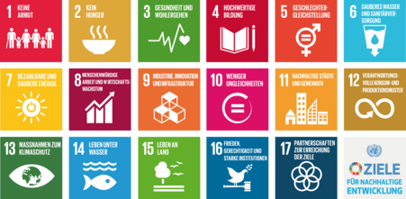 Die Grafik zeigt die 17 Ziele für nachhaltige Entwicklung.