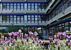 Seminarwiese: Hochbeet vor dem Neubau der Hochschule.