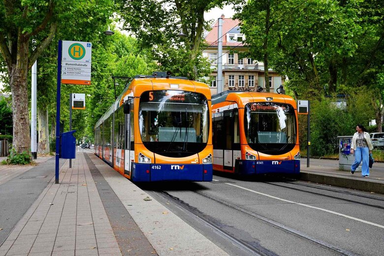 Es sind zwei RNV-Bahnen zu sehen.