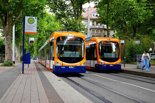 Es sind zwei RNV-Bahnen zu sehen.